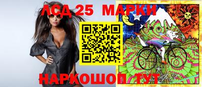 сатива Кингисепп