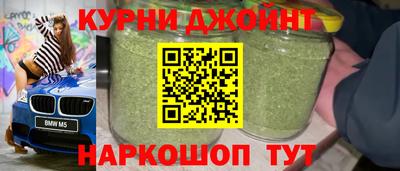 сатива Кингисепп