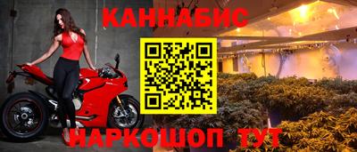 стаф Кимры