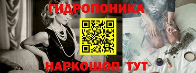 сатива Кингисепп
