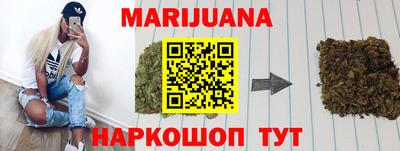 сатива Кингисепп