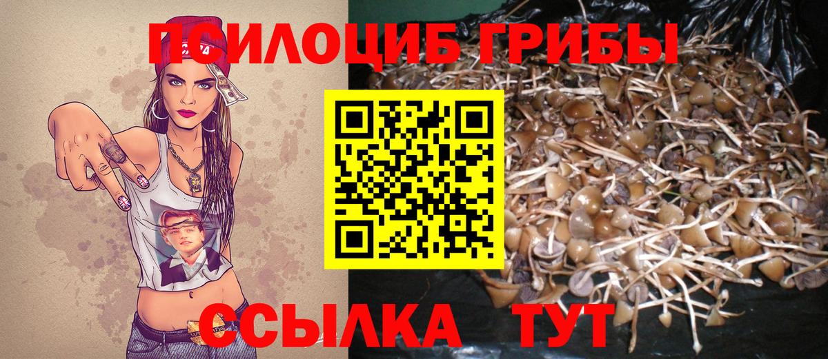 Галлюциногенные грибы GOLDEN TEACHER Кудрово