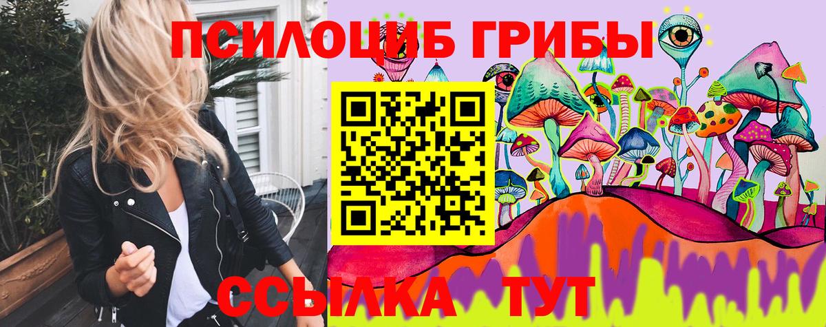 Псилоцибиновые грибы MAGIC MUSHROOMS  Вход с VPN  Кудрово  Галлюциногенные грибы прущие грибы 
