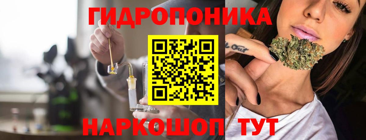 Бошки Шишки индика Кудрово